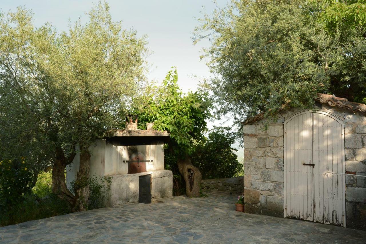 Mistra Estates Villa The Vine Pikouliánika Eksteriør bilde