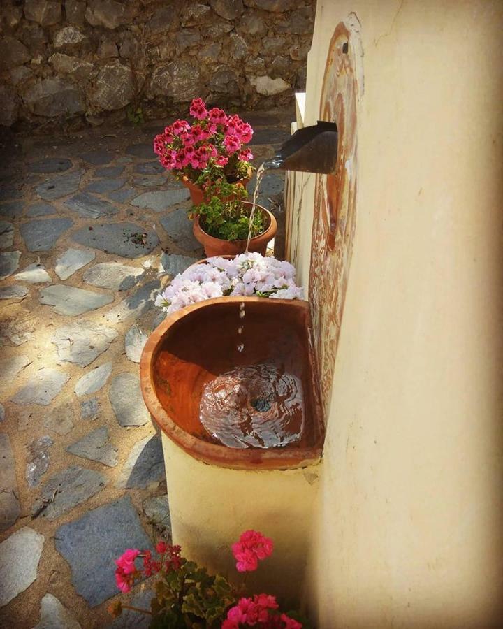 Mistra Estates Villa The Vine Pikouliánika Eksteriør bilde